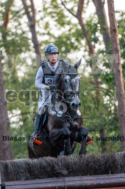 De Peelbergen (August 2020)
