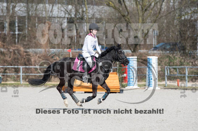 Eventing Langenfeld 2018