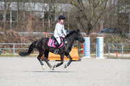 Eventing Langenfeld 2018