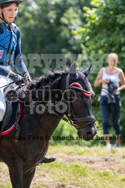 Goldene Schärpe 2021 - Ponys