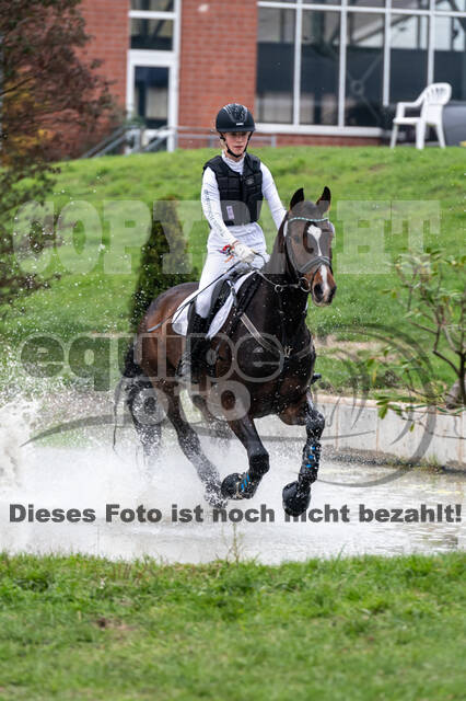 Goldene Schärpe 2020 - Pferde