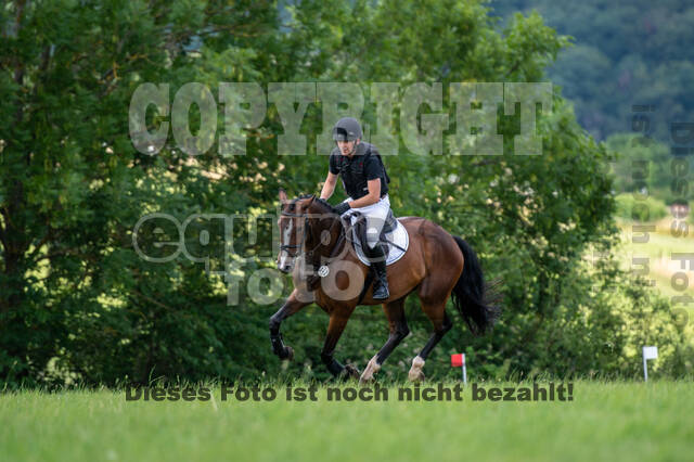Bonn-Rodderberg Late-Entry-Vielseitigkeit (30.06.2020)