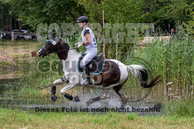 Late-Entry Vielseitigkeit Hamminkeln/Wesel (01.+02.08.2020)