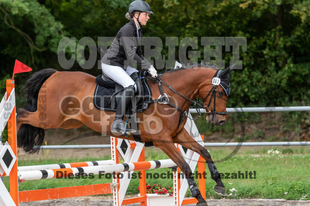 Late-Entry-Vielseitigkeit Langenfeld (06.+07.07.2020)