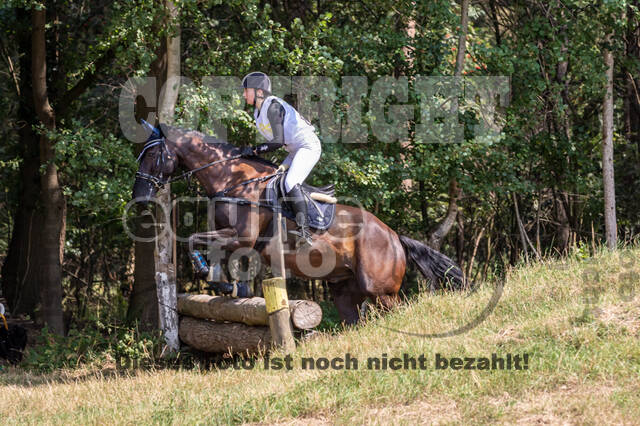 Late-Entry Vielseitigkeit Hamminkeln/Wesel (01.+02.08.2020)