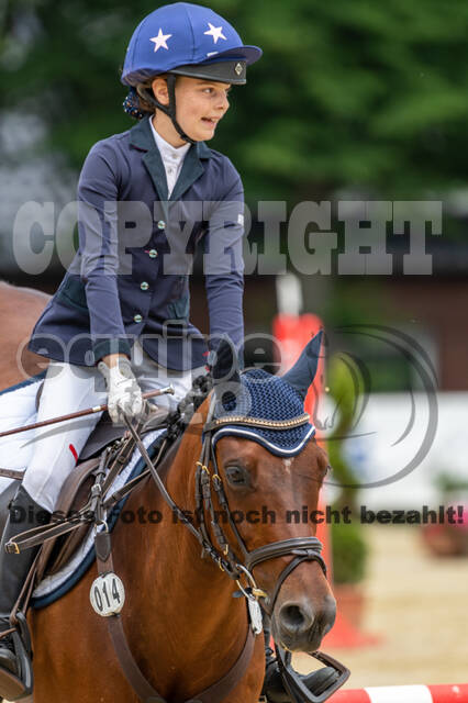 Goldene Schärpe 2021 - Ponys