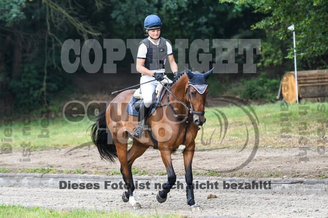 Late-Entry-Vielseitigkeit Langenfeld (11.+13./14.06.2020)