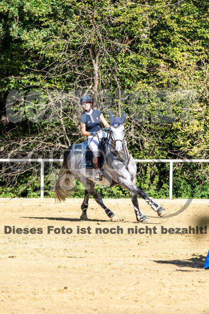 RFV Dinslaken-Hiesfeld (Herbstturnier)