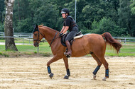 Hunter Geländetraining 10.07.2021 (Sonsbeck)