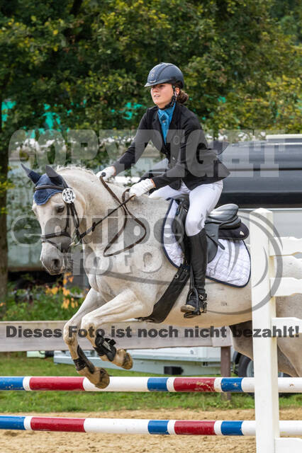 Vielseitigkeit RSV Wesel Obrighoven (26.+27.09.2020)