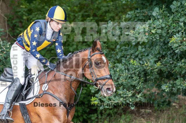 Late-Entry-Vielseitigkeit Langenfeld (11.+13./14.06.2020)