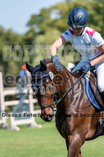 Kronenberg - De Peelbergen (August 2020)