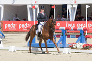 FEI European Championship Eventing 2017