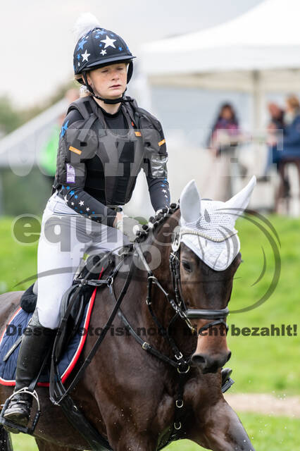 Goldene Schärpe 2020 - Pferde