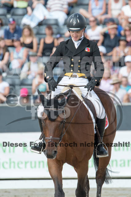 FEI European Championship Eventing 2019