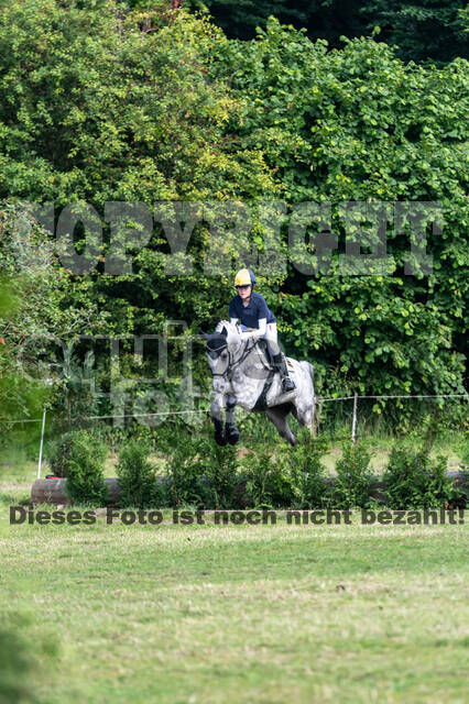 Goldene Schärpe 2021 - Ponys