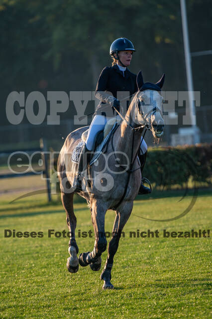 De Peelbergen (August 2020)