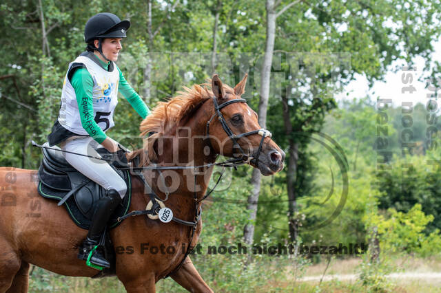 Late-Entry Vielseitigkeit Hamminkeln/Wesel (01.+02.08.2020)