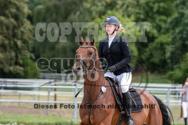 Late-Entry-Vielseitigkeit Langenfeld (06.+07.07.2020)