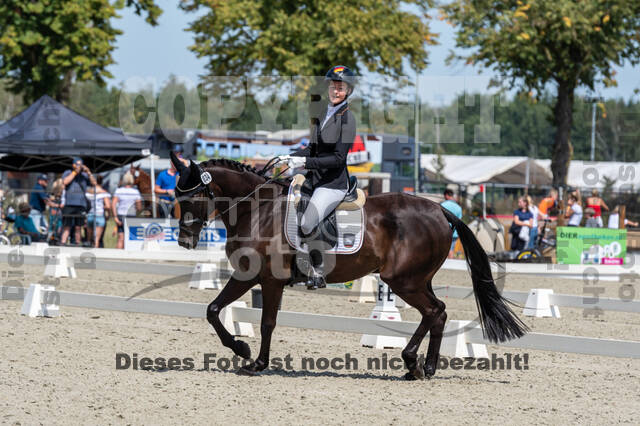 Kronenberg - De Peelbergen (August 2020)