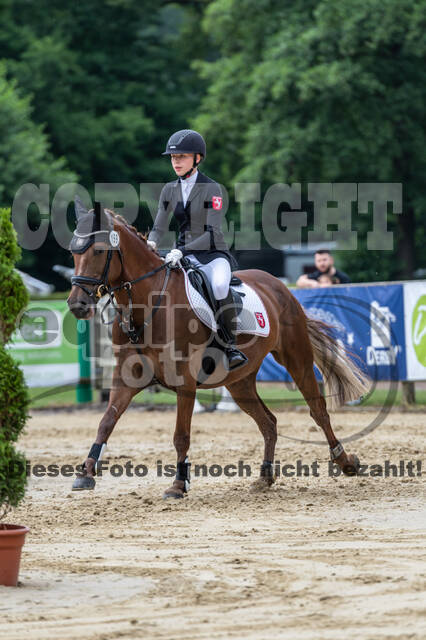 Goldene Schärpe 2021 - Ponys