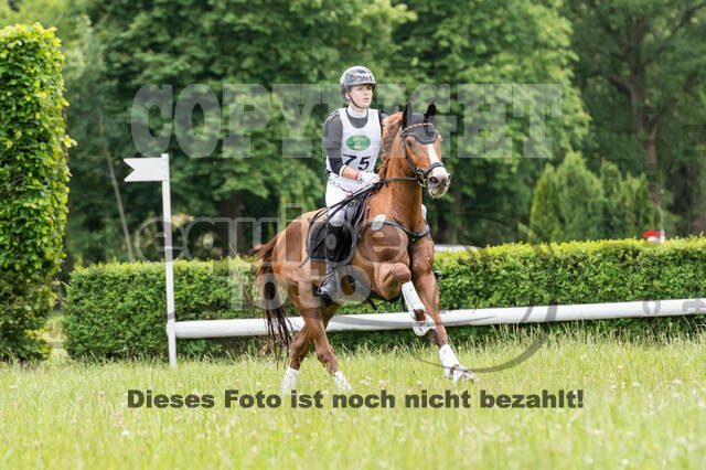 Westerstede Horse Trials 2021