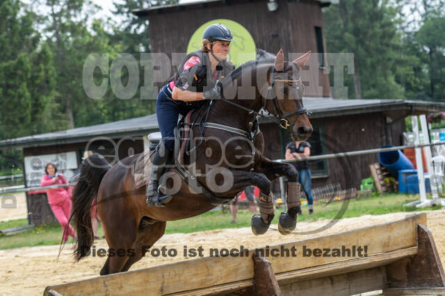 Hunter Geländetraining 10.07.2021 (Sonsbeck)