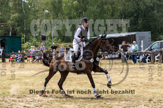 Late-Entry Vielseitigkeit Hamminkeln/Wesel (01.+02.08.2020)