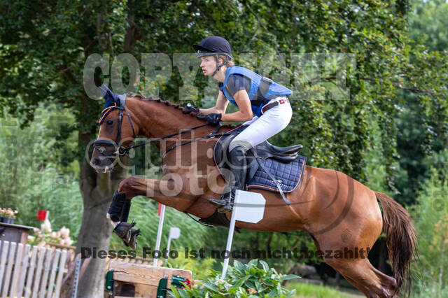 Late-Entry Vielseitigkeit Hamminkeln/Wesel (01.+02.08.2020)