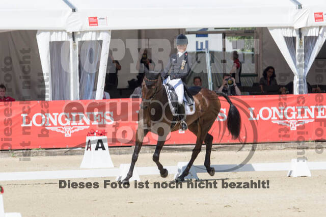 FEI European Championship Eventing 2017