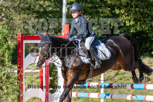 RFV Dinslaken-Hiesfeld (Herbstturnier)