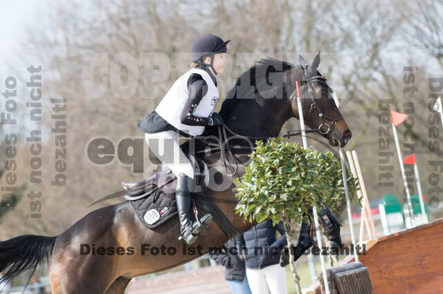 Eventing Langenfeld 2018