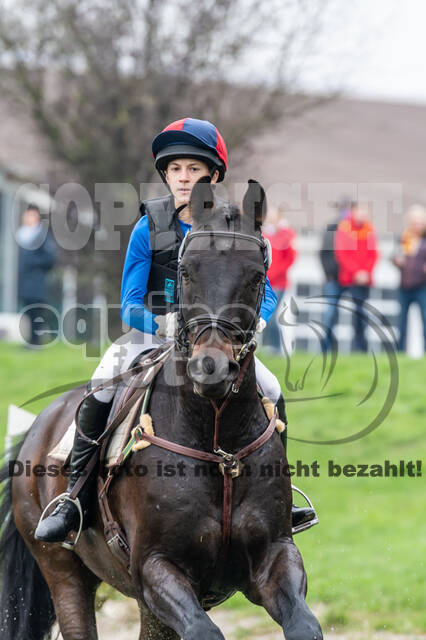 Goldene Schärpe 2020 - Pferde