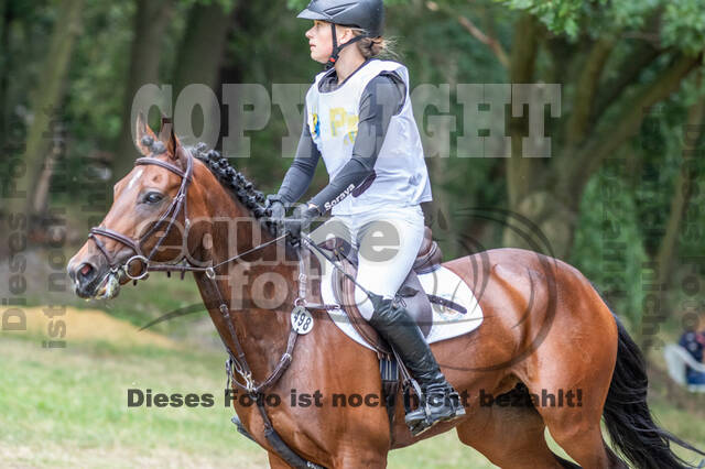 Late-Entry Vielseitigkeit Hamminkeln/Wesel (01.+02.08.2020)