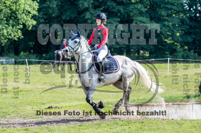 Goldene Schärpe 2021 - Ponys