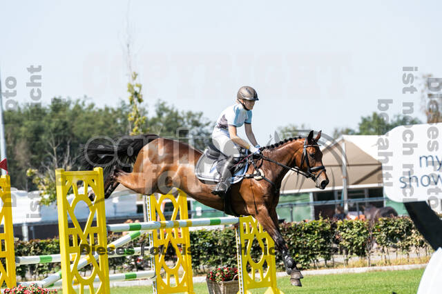 Kronenberg - De Peelbergen (August 2020)