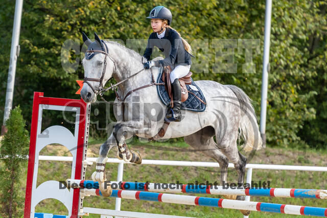 RFV Dinslaken-Hiesfeld (Herbstturnier)