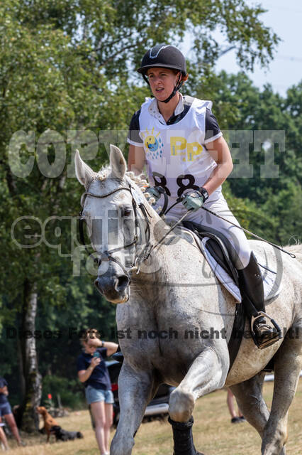 Late-Entry Vielseitigkeit Hamminkeln/Wesel (01.+02.08.2020)