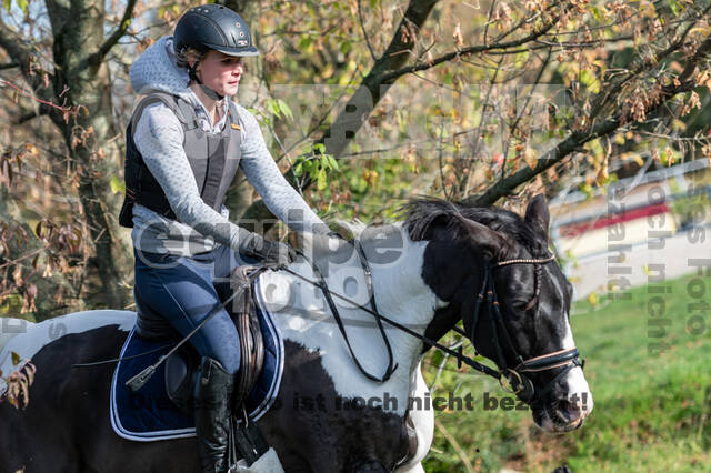 IGV Lehrgang der Sieger der Cups mit Frank Ostholt