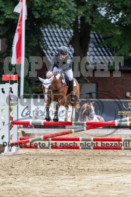 Goldene Schärpe 2021 - Ponys