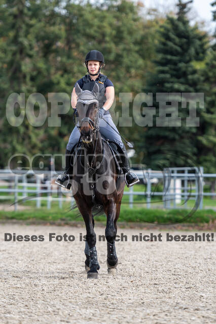 IGV Lehrgang der Sieger der Cups mit Frank Ostholt