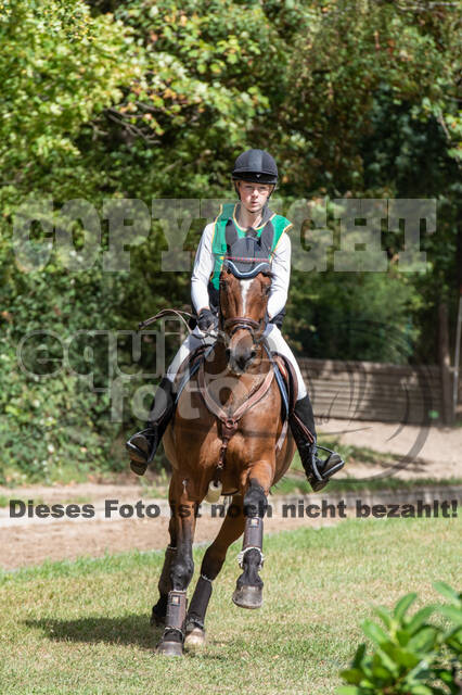 Landesturnier Rheinland, Vielseitigkeit, 22.+23.08.2020