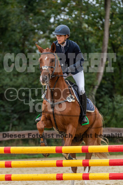 Vielseitigkeit RSV Wesel Obrighoven (26.+27.09.2020)