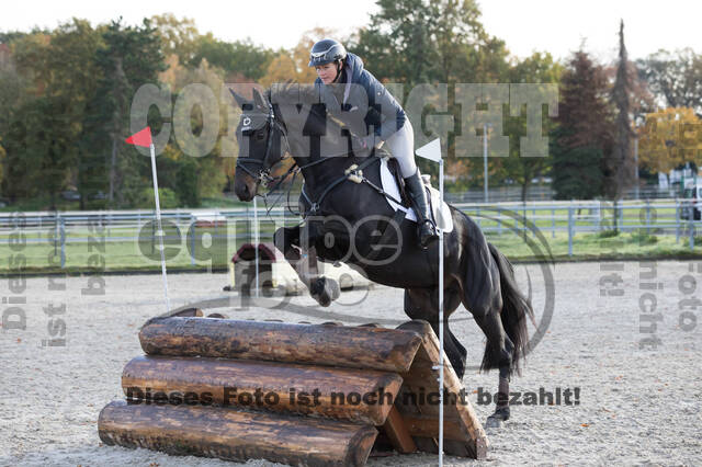 IGV Lehrgang der Sieger der Cups mit Frank Ostholt
