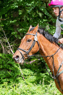 Westerstede Horse Trials 2021