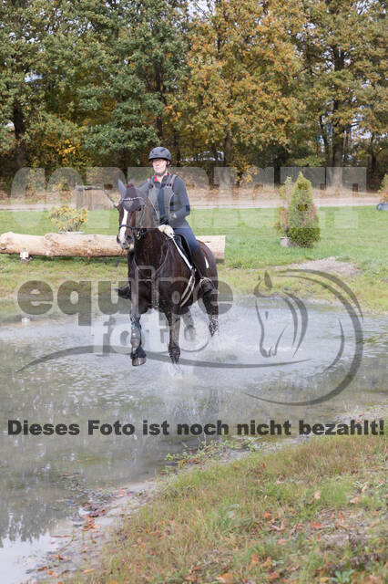 IGV Lehrgang der Sieger der Cups mit Frank Ostholt