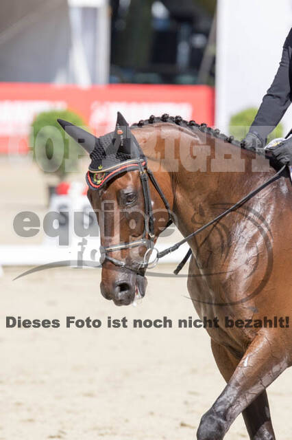 FEI European Championship Eventing 2017