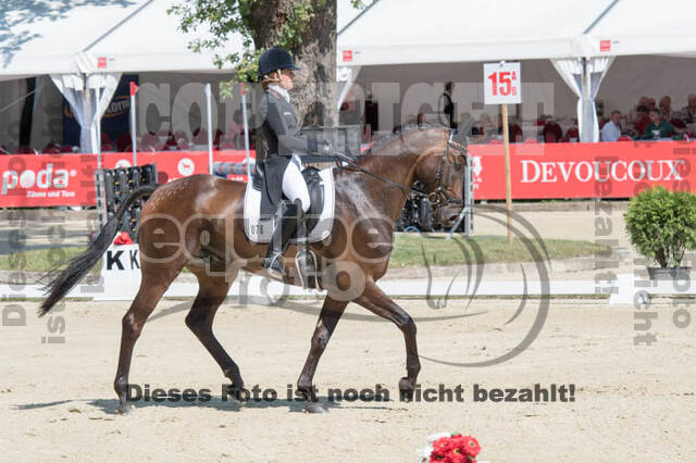 FEI European Championship Eventing 2017