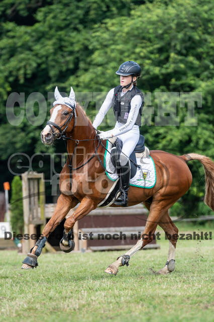 Goldene Schärpe 2021 - Ponys