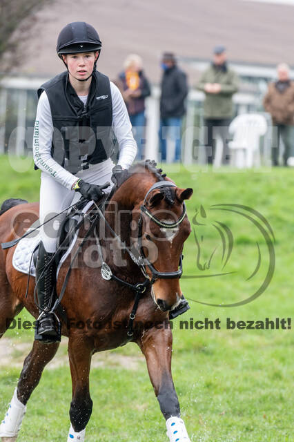 Goldene Schärpe 2020 - Pferde